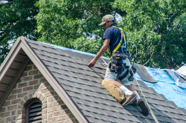 Best Storm Damage Roof Repair  in Olathe, CO